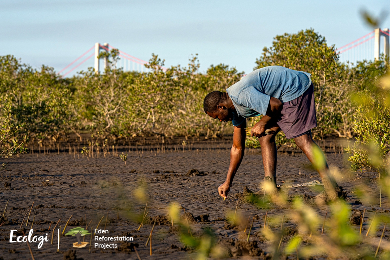 Madagascar Tree Planting Project Image