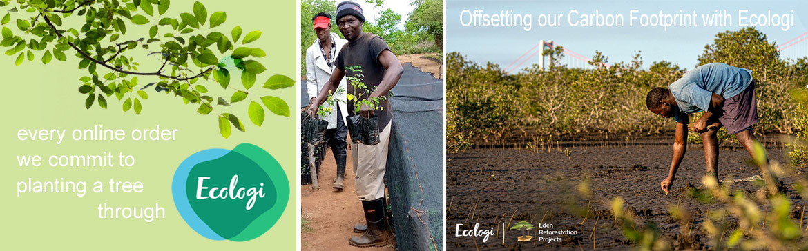 Ecologi