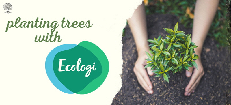 Ecologi23